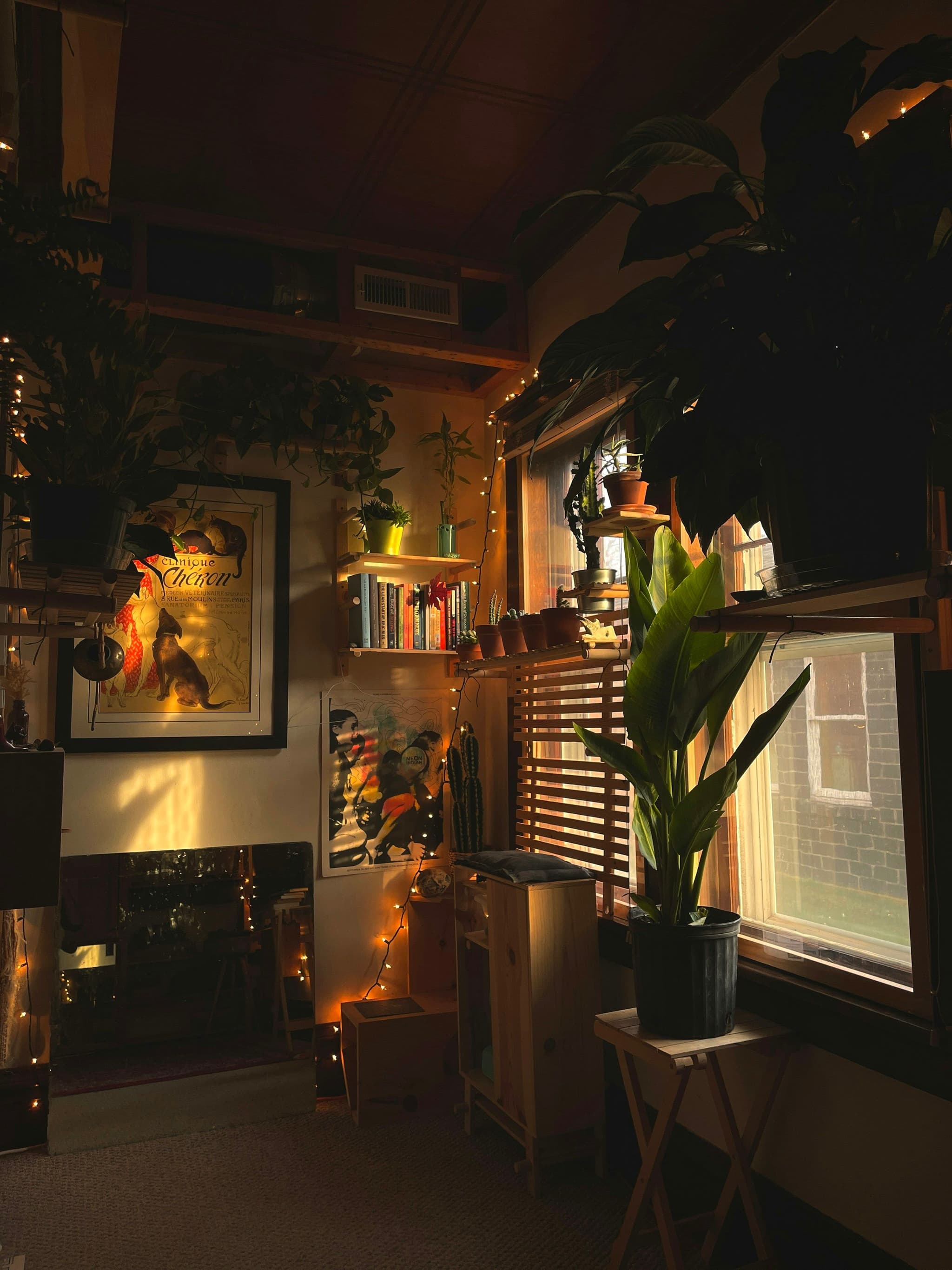 Living room with furniture and a vase of flowers in warm light